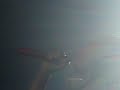 Chris Brown live Forever Tour jan 2009 Belfast - Can\ Chris Brown live Forever Tour jan 2009 Belfast - Can\
