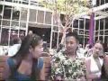429 Hawaii 2001 - Zippy\