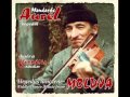 Mandache Aurél & Kárpátia zene - Serény magyaros