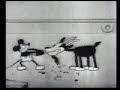 Steamboat Willie