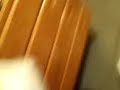 Carmera, Picture or Video 002