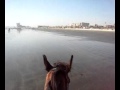 Horse Ride on the Clifton Beach in Karachi - YouTube