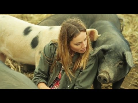 Lauren's Day on the Farm