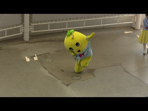 今日もふな日和