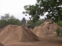 ingelheim 2008 ingelheim 2008