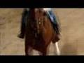 Wildfire Trailer