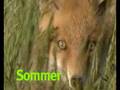 Tierkinder