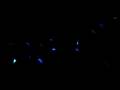 videos de sander van doorn sensation madrid 2008