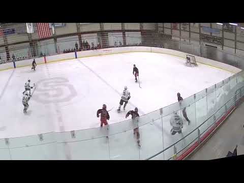 Aidan Andrews (22) 1st period tying Assist