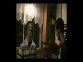 Brosse-Story : yannick et les citrons ( int�gral )
