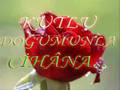 adem karaca �aresi varm�