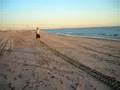 skipping down the beach in man thongs