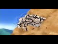 Gara Vs. Kimimaru AMV