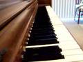 Player Piano (Pianola) performs