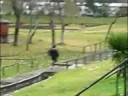 Parkour con lluvia