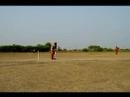 ECM cricket