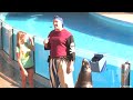 SeaWorld's Sea Lion Show (in HD)