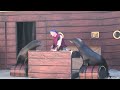 SeaWorld’s Sea Lion Show (in HD)
