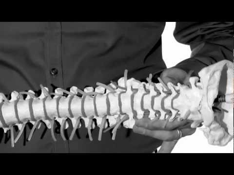 Nackenschmerzen und Nackenkissen