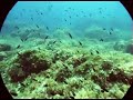 Lampedusa - The last dive Lampedusa - The last dive