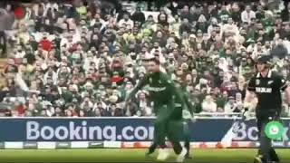 Pakistani Cricket team whatsapp Status for World C