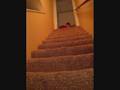 Bivi and the backwards trick.wmv