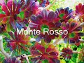 Liguria- Moneglia-Monterosso e Sestri Levante