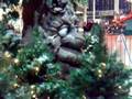 videos de Xmas display