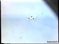 Fuerza Aerea Argentina en Malvinas