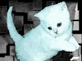 chose chaton 