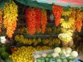 Discover Medellin, Colombia