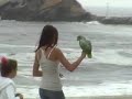 peru surf point la isla