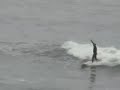 peru surf point la isla