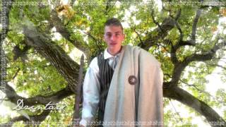Dzintars