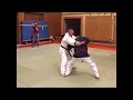 Kobudo Lehrgang - JuJutsu