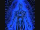 psilocybin trip psilocybin trip