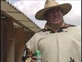 corrido del gallo de oro