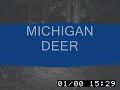 MICHIGAN DEER MICHIGAN DEER