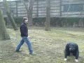 Jackass z Rokycan 3