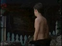 Gorilla in the Big Brother 10 House