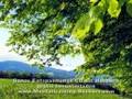 Entspannung Video, Geführte Meditation, Traumreise, CD