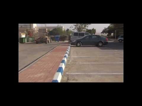 המועצה לובשת צבע