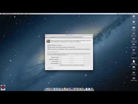 how to test qe ci in lion