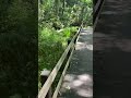 柿田川公園(静岡県清水町)