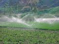 escasez de agua