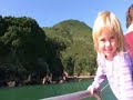 Dolphins and Whale Island Eco Tour