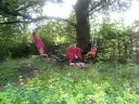 cora, hazel, and vera swinging in mary beth's garden, 2008-08-25.  some help provided by david, music by pigbag.  thanks for a great summer, mary beth and hans-walter!