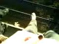 die b�se b�se treppe