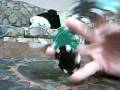 videos de Chip Tricks Demo