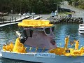 Daffodil Elvis Boat